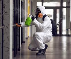 Best Comprehensive Air Testing for Mold Contaminants  in Trinity, AL